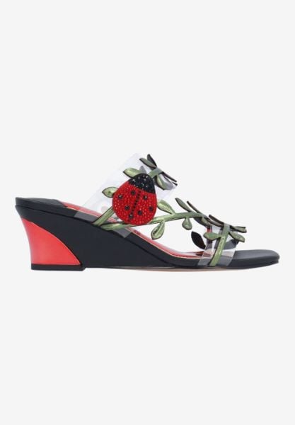 Right side view of Coccinella 