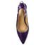 Top view of Mayetta Purple
