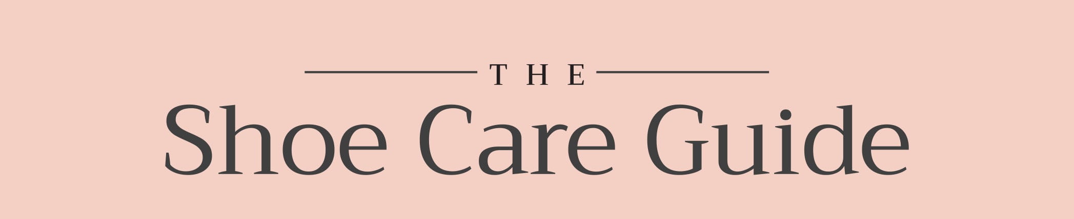 shoe care guide